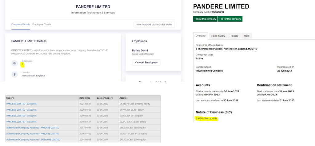 Company information of babyvote